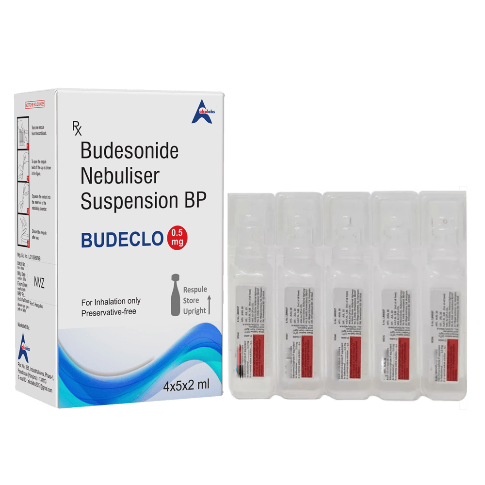 Budeclo 0.5Mg